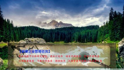 西峰农业废弃物生产乙醇燃料基地可行性报告 批地立项与企业管理咨询