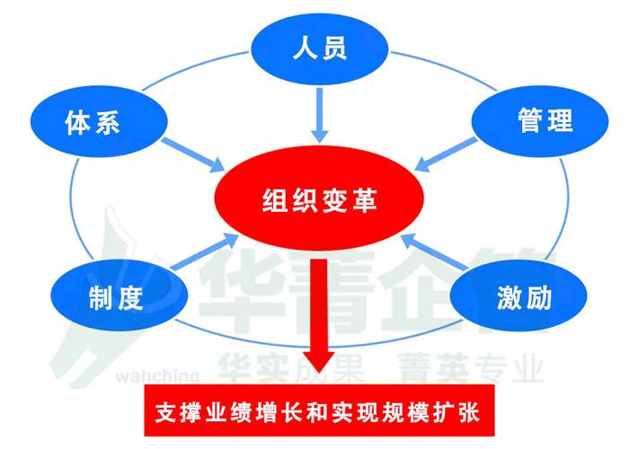 国内医药企业管理咨询公司盘点:擅长做组织优化落地有哪些